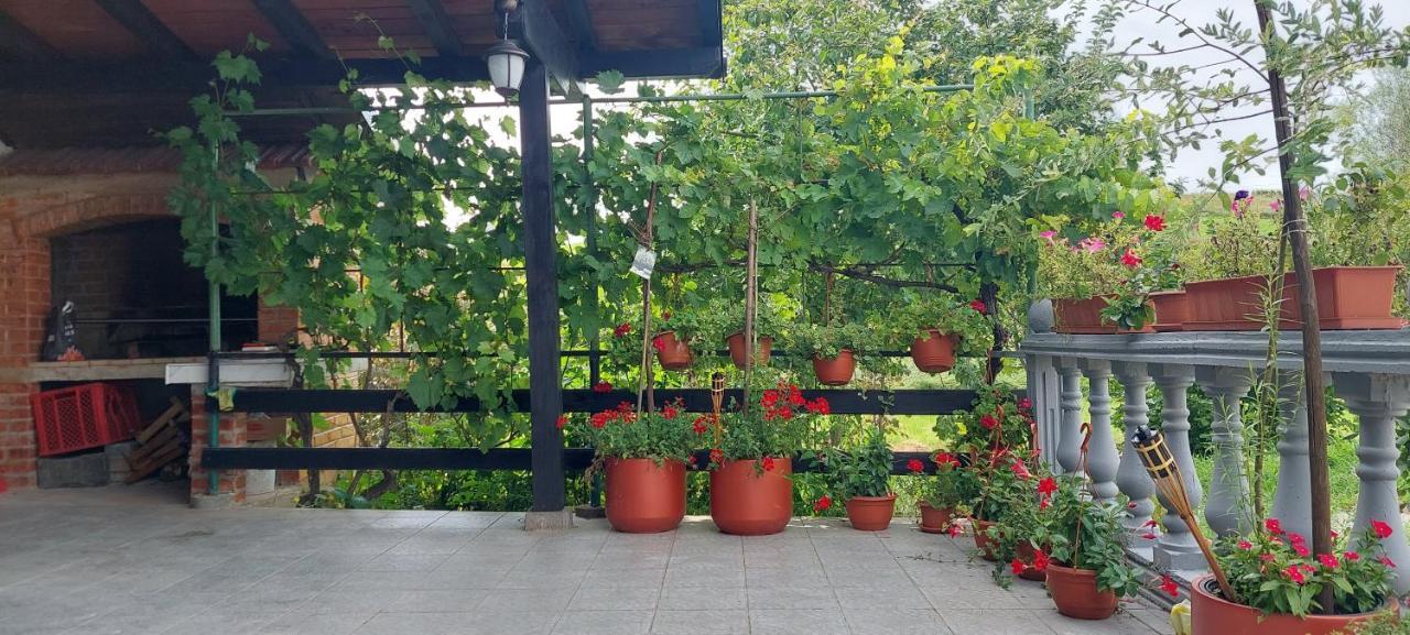 Apartamento Kod Ane Belavici Exterior foto