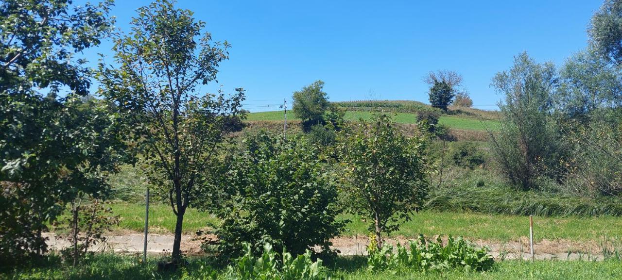 Apartamento Kod Ane Belavici Exterior foto