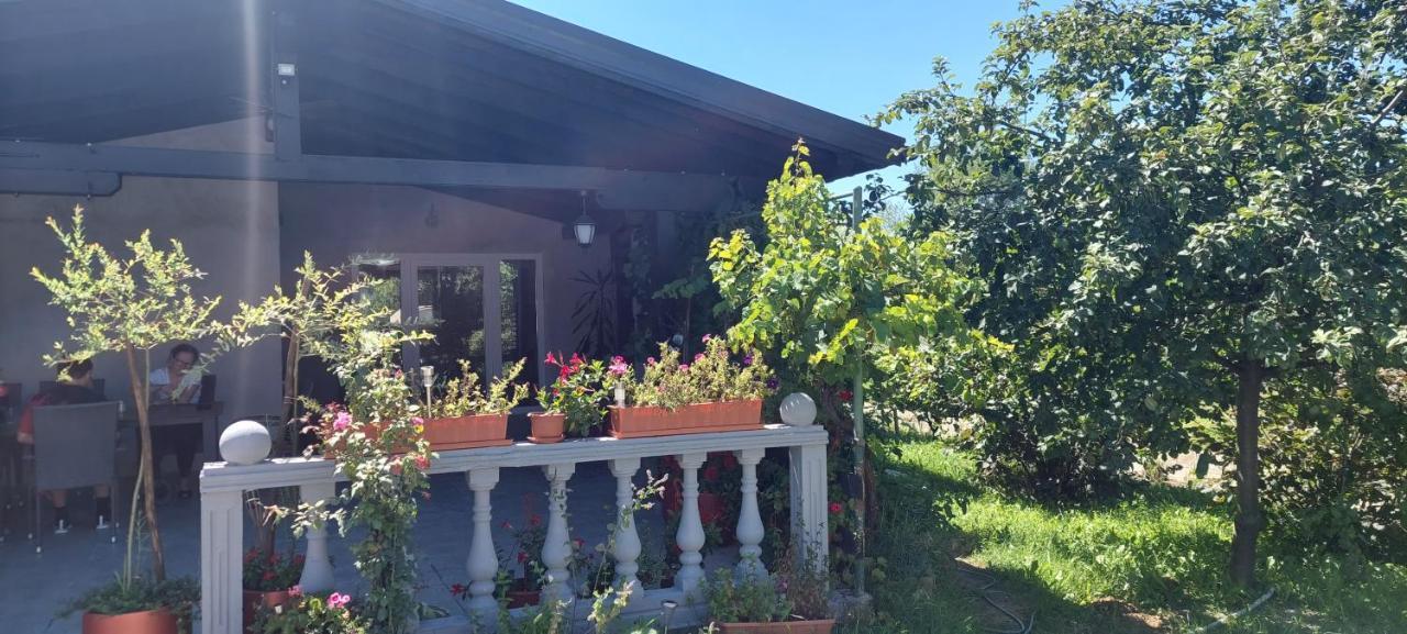 Apartamento Kod Ane Belavici Exterior foto