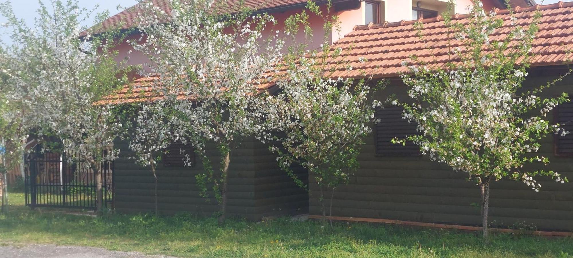 Apartamento Kod Ane Belavici Exterior foto