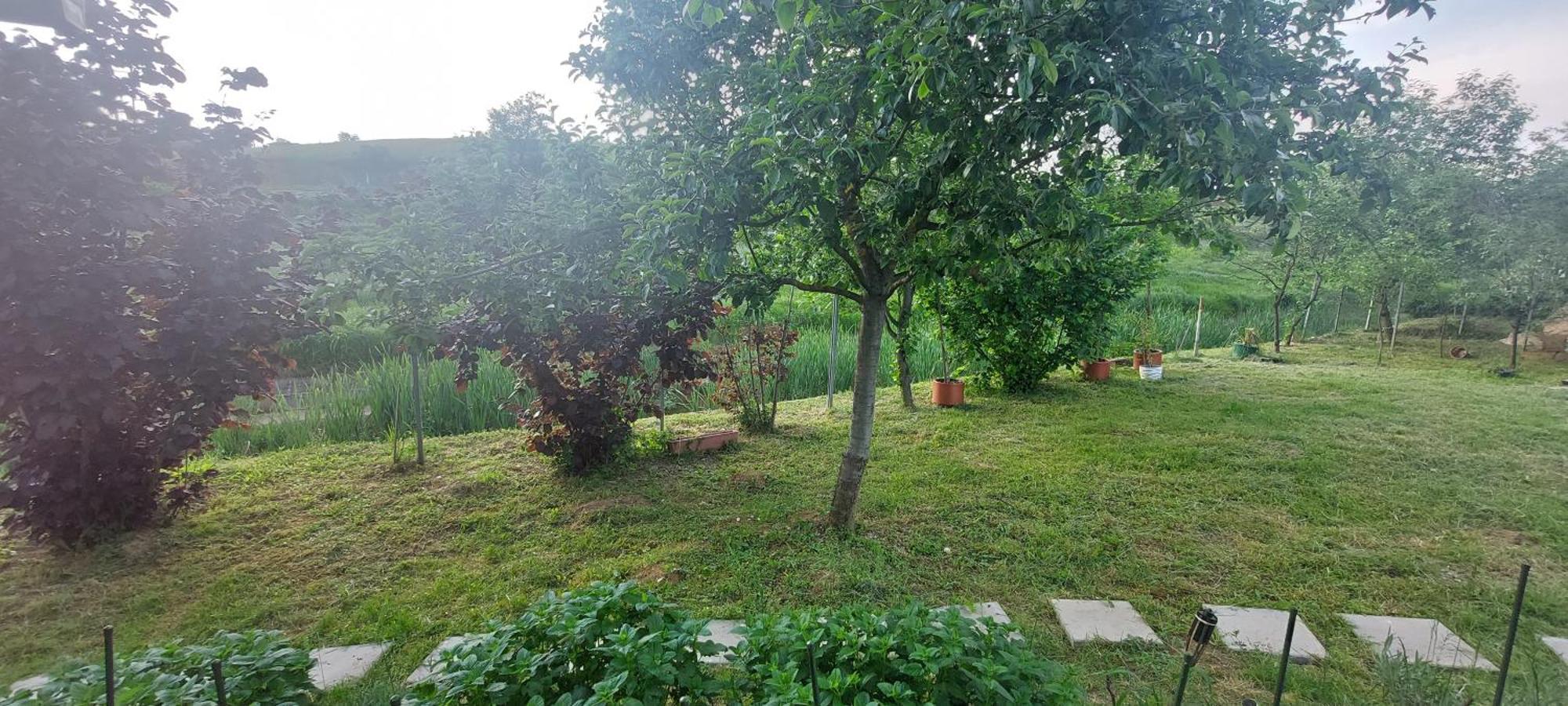 Apartamento Kod Ane Belavici Exterior foto