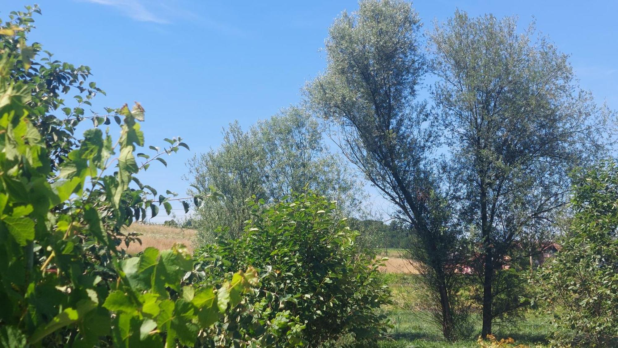 Apartamento Kod Ane Belavici Exterior foto