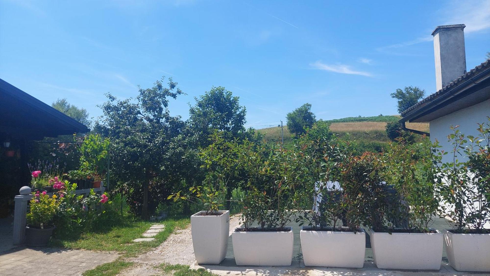 Apartamento Kod Ane Belavici Exterior foto