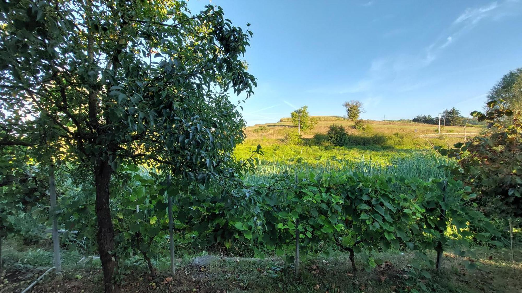 Apartamento Kod Ane Belavici Exterior foto