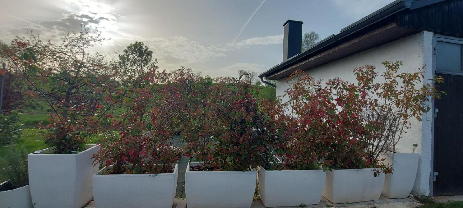 Apartamento Kod Ane Belavici Exterior foto